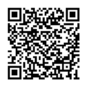 不过那艘商船的行驶速度显然不如御风神行舟快二维码生成