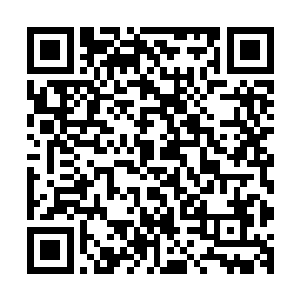 不过那被称为水易天的太子却似乎压根没听到水柔公主的叫声二维码生成