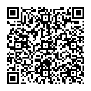 不过那语气中的咬牙切齿却是让呆滞瞪眼看着流墨墨和雪如楼的玄八和玄十一只打了个冷颤二维码生成