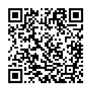 不过那赤炎冰蛇将这三头妖兽的一丝魂魄保存在体内二维码生成