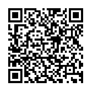 不过那都是从归墟之主和冥王的宇宙内修士尸体中提炼出来的二维码生成