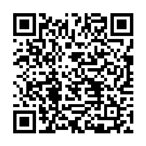 不过那高人的子女们没有一位懂得怎么治好通灵人的二维码生成