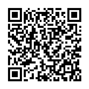 不过里面应该是泡着一粒一粒花生米大小的东西二维码生成