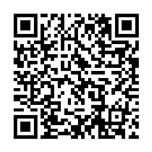 不过野猪吃饱喝足后爆发出来的实力也是十分惊人的二维码生成