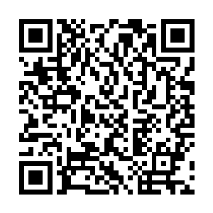 不过野鸡七彩斑斓的漂亮的羽毛受到了大家的强烈欢迎二维码生成