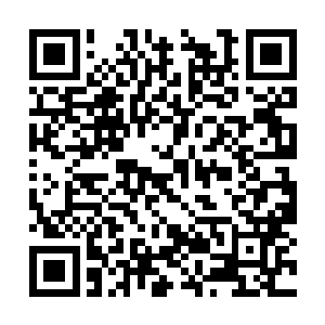 不过鉴于这个人有一大半的可能是她未来的男主子二维码生成