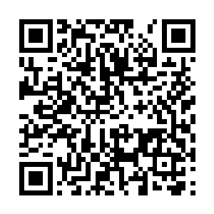 不过长年的高高在上显然也让飞天鼠王迷失了方向二维码生成