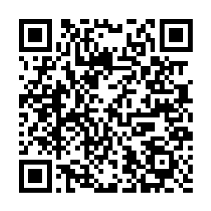 不过阳极宗和一元宗的四名圣皇强者却是什么话都没有说二维码生成