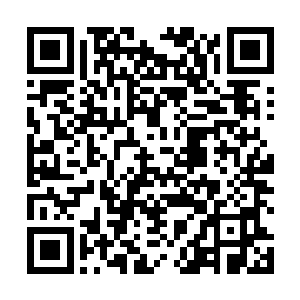 不过陶美佳也知道她们大学时候的班长一直对她不死心二维码生成