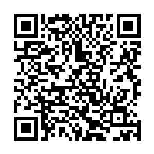 不过随即看了看他身后的那个年轻人动作也是有些犹豫起来二维码生成