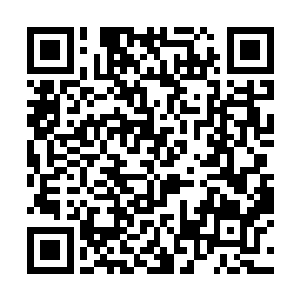 不过随着对方的接近他看到了少女脸上的忧伤和泪水二维码生成