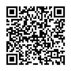 不过雇主提供的资料显示着这少年至少为五星实力二维码生成