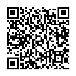 不过雨果还是觉得他对文森特的表演抓得不够准确二维码生成