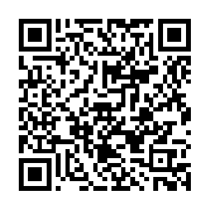 不过雪如楼低头看着流墨墨苍白的小脸上那抹蠢蠢欲动二维码生成