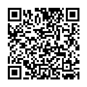 不过韩明月更看重的是私情而韩明晰却更重视兄弟情二维码生成