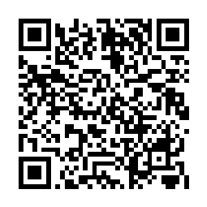 不过项山此人在整个碧落关都是极为特别的存在二维码生成