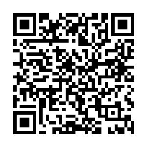 不过颜家的两位老人家坚决不肯颜晓夕在守在京城了二维码生成