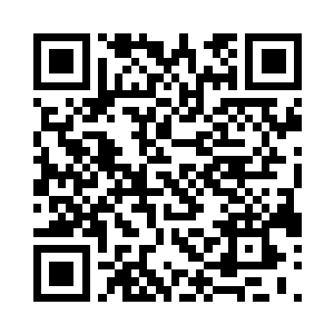 不过风天翔放下的藤蔓也被斩断了不少二维码生成