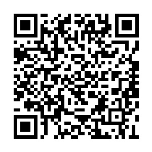 不过飞行妖兽的血肉原本就是滋润大地的好东西二维码生成