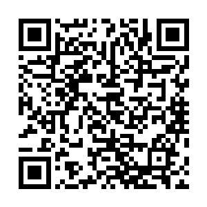 不过饶是如此龙傲天一行人一路上也是遇到了不少的阻碍二维码生成