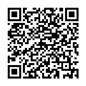 不过马家在我们人康城隐隐约约之间有冒头的趋势二维码生成