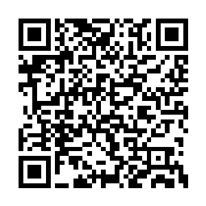 不过魔云山首领在几百年前就曾打遍青荒无敌手二维码生成