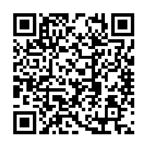 不过黄媛最后一句话倒是多少安了一下林思伊的心二维码生成