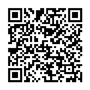 不过龙傲天也没有将所有的尸体都放到一个戒指里二维码生成