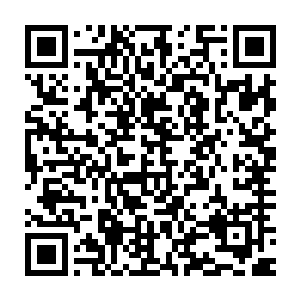 不过龙傲天倒是可以清晰的感觉到巨茧中包裹的小金的庞大的生命力二维码生成