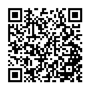 不过龙傲天感受到徐征旁边的几个年轻人的修为之后二维码生成