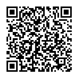 不过龙战现在已经可以说是被族长和祭祀锻炼的快成金刚不坏之身了二维码生成