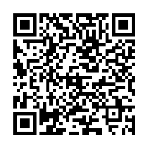 不远处的中原神机宗宗主叶飞却丝毫没有注意这里二维码生成