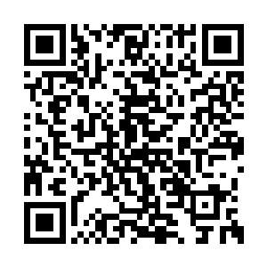 不远处的晏锦似乎发现了一直看着自己的沈砚山二维码生成