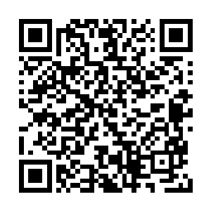 不远处的空地上居然发生了一定规模的空间扭曲二维码生成