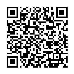 不都是因为下面的实权人物相互之间斗争太激烈了嘛二维码生成