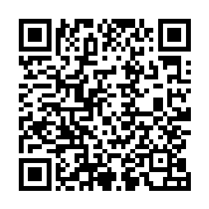 不都是因为你和我厮守一生的愿望并没有那么坚定不移吗二维码生成