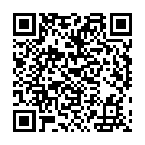 不问青红皂白便欲强掳了本少身边的这位凤夫人回去侍寝二维码生成