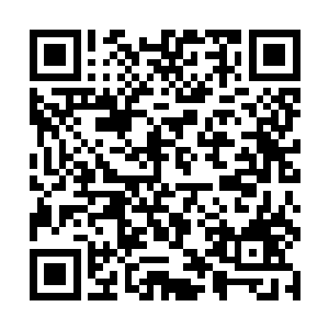 不需要告诉她曾经的小重葵是怎样在恐惧煎熬中长大二维码生成