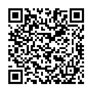 不需要堵上这个让他看着就想吐上三天三夜的臭袜子二维码生成