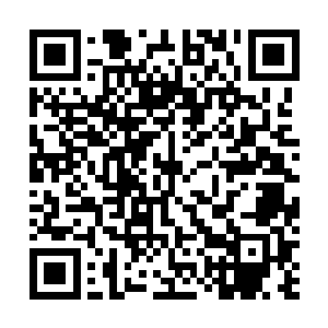 不需要打这一仗就能让白河谷地的领域扩张到海岸线边缘二维码生成