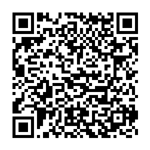不顾一切的转身跳进池塘或者干脆沿着池塘边缘投进对面的树林里去二维码生成