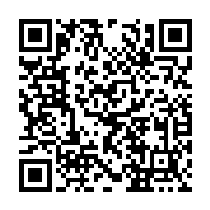 与五名紫幽派内门弟子击斗的是灵兽宫的内门弟子二维码生成