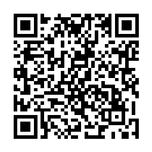 与他一起消失的还有他的天道十五种神通与顶级灵宝天道二维码生成