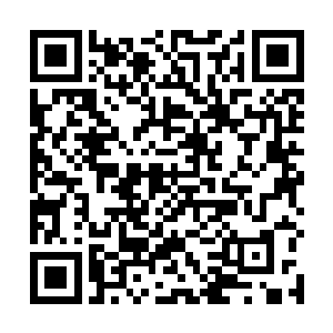 与他周身缠绕的金系法则和神火法则完美的结合在一起二维码生成