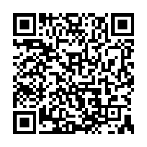 与他平日里那个高冷去热心的族长形象完全不同二维码生成