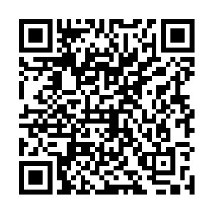与他成反比的霍君白那清瘦的身躯就如同一条游龙一样二维码生成