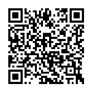 与先前从诸葛小九那里所见的图鉴并无多大出入二维码生成