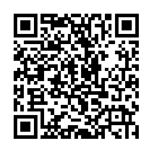 与先前国教学院那三名少年在暮光里奔跑的画面不同二维码生成