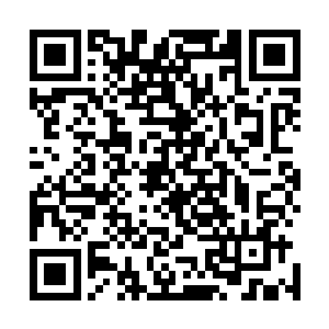 与其在这里纠缠这种事情还不如把麻烦交给长老们自己处理二维码生成