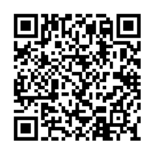 与凌霄阁那种长拳鞭腿等基础功绝不可同日而语二维码生成